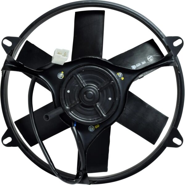 MV4393 - Imagen 2