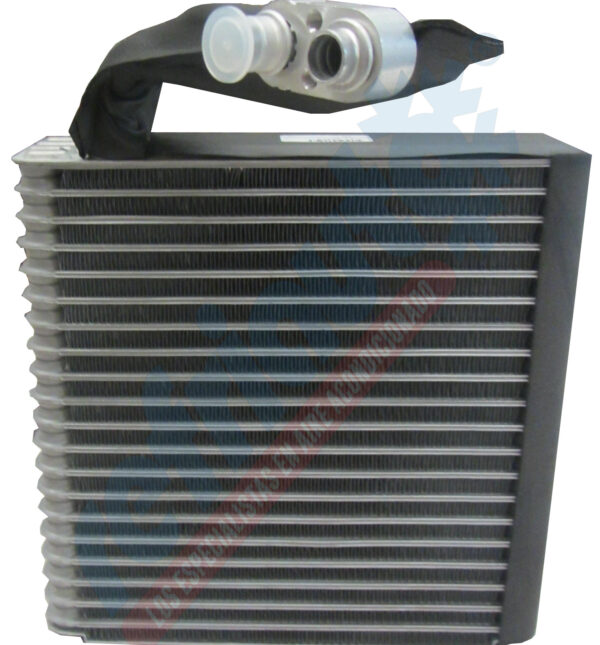 EV12009