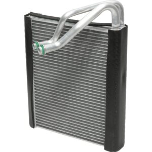 EV17841