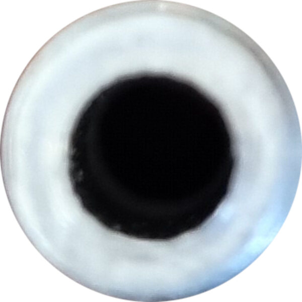 CN6763 - Imagen 3