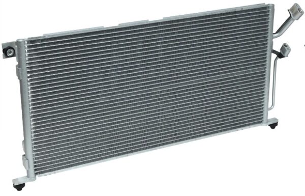 CD12193