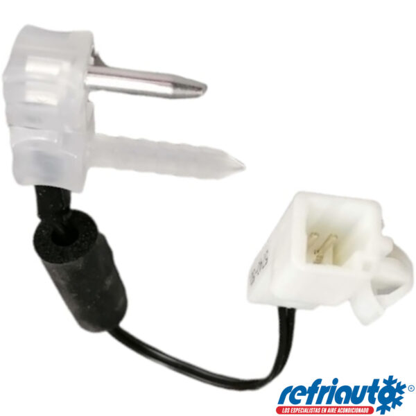 TM24895 - Imagen 2