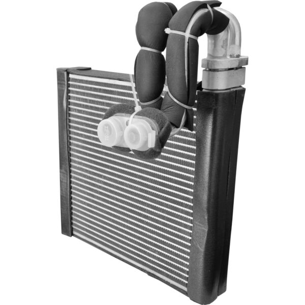 EV17540 - Imagen 2
