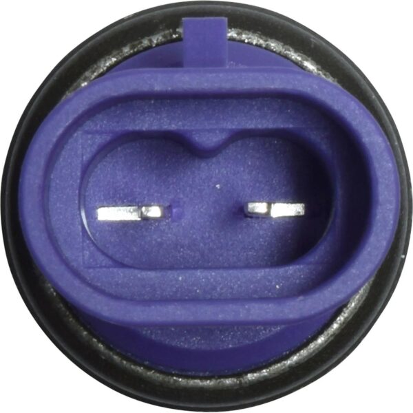 SW9818 - Imagen 2