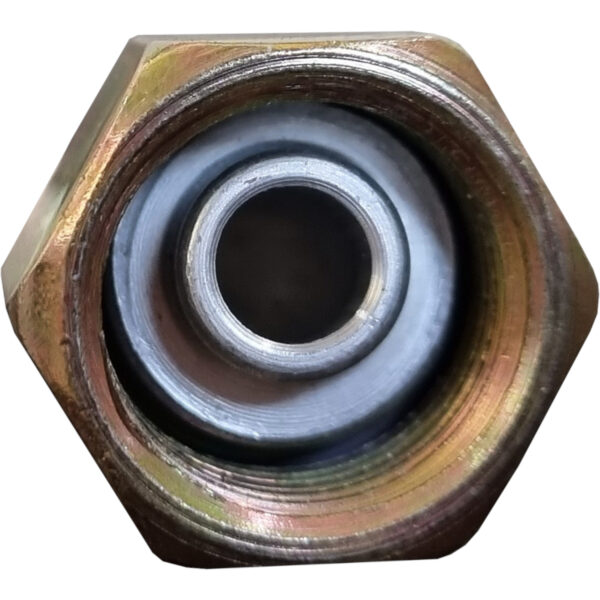 CN4909 - Imagen 2