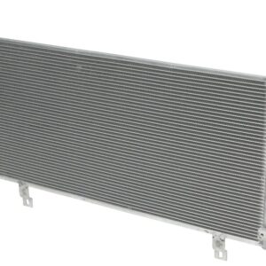 CD26981